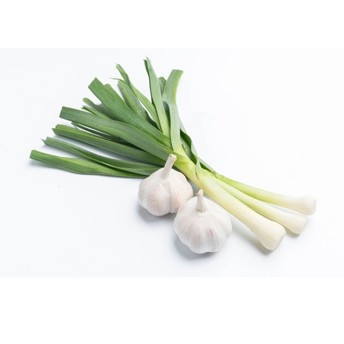 Fresh Green Garlic-1Kg